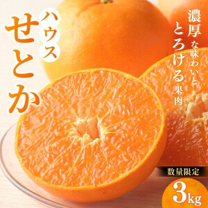 yӂ邳Ɣ[Łz Ƃ _ nEXƂ 3kg (2L`3L 9ʁ`12) y2026N2{3{܂łɏz ݂ ~J  k ʕ  t[c \ lC W[V[ 