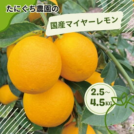 【ふるさと納税】 たにぐち農園の国産マイヤーレモン 2.5kg または 4.5kg【2025年12月〜2026年1月初旬の期間で順次発送致します。】 / 檸檬 レモン れもん 柑橘 国産 大容量 数量限定 ご家庭用 家庭用