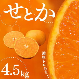 【ふるさと納税】 【先行予約】せとか ご家庭用 4.5kg 大小混合 みかん ミカン 蜜柑 柑橘 果物 くだもの フルーツ 家庭用 旬 人気 ジューシー 甘い 産地直送 農家直送 送料無料 たにぐち農園【2027年3月から4月上旬までに順次発送】