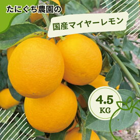【ふるさと納税】たにぐち農園の国産マイヤーレモン 4.5kg【2024年12月から～2025年1月初旬の期間で順次発送致します。】 / 檸檬 レモン れもん 柑橘 国産 大容量 数量限定 ご家庭用 家庭用