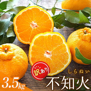 yӂ邳Ɣ[Łz 󂠂 sm 3.5kg {ɂݕۏᕪ 召 ƒp A 킯 ݂ ~J t[c ʕ  sm ʂ sm΃fR|  k lC \ s\ 