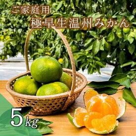 【ふるさと納税】【先行予約】 ご家庭用 極早生温州みかん 5kg (マルチ栽培・露地混合) 2S~L サイズおまかせ【2024年9月下旬から10月下旬までに順次発送】 / くだもの フルーツ 果物 家庭用 人気 みかん 蜜柑 極早生