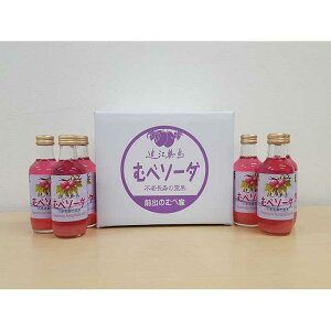 【ふるさと納税】むべソーダ詰合せ(12本入)