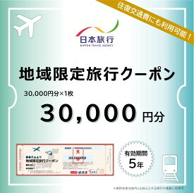 【ふるさと納税】滋賀県　日本旅行　地域限定旅行クーポン30,000円分 | チケット 旅行 宿泊券 ホテル 観光 旅行 旅行券 交通費 体験 宿泊 夏休み 冬休み 家族旅行 ひとり カップル 夫婦 親子 トラベルクーポン 滋賀県旅行