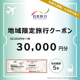 【ふるさと納税】滋賀県大津市　日本旅行　地域限定旅行クーポン30,000円分 【 チケット 旅行 宿泊券 ホテル 観光 旅行 旅行券 交通費 体験 宿泊 夏休み 冬休み 家族旅行 ひとり カップル 夫婦 親子 トラベルクーポン 】