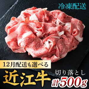 yӂ邳Ɣ[Łzߍ] ؂藎Ƃ 500g iIׂzj[CS009] / ߍ] ؂藎 ؂肨Ƃ     Oa Y Y ԓ Ԑ؂ Ԑ؂ Ⓚ ꌧ Îs 