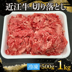 【ふるさと納税】近江牛 切り落とし 500g 1kg [T006] / 近江牛 和牛 牛肉 バラ 前バラ 切り落し 切落し 2人前 3人前 5人前 6人前 すき焼き しゃぶしゃぶ 肉じゃが 野菜炒め 国産 滋賀県 大津市 霜降り