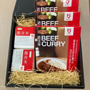 �y�ӂ邳�Ɣ[�Łz���Z�b�g�i�J���[�j�y���J��w�_�w���z2025�N12����菇������ [CM005] / ���J�� �r�[�t�J���[