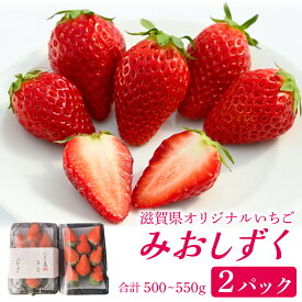 【ふるさと納税】いちご（みおしずく）2パック [NN001] / 滋賀県 滋賀 大津市 フルーツ 果物 くだもの いちご 苺 イチゴ デザート クリスマス お正月【2025年12月28日以降発送】