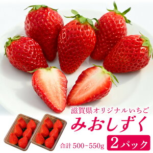 yӂ邳Ɣ[Łzi݂j2pbN [NN001] / ꌧ  Îs t[c ʕ    C`S fU[g NX}X y2025N1228ȍ~z