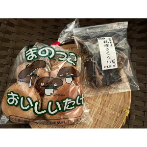 yӂ邳Ɣ[ŁzۏELNQZbg