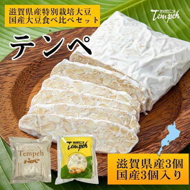【ふるさと納税】ルストテンペ(滋賀県産特別栽培大豆使用)3個と(国産大豆使用)3個のセット