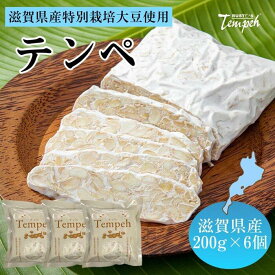 【ふるさと納税】ルストテンペ(滋賀県産特別栽培大豆使用)6個セット