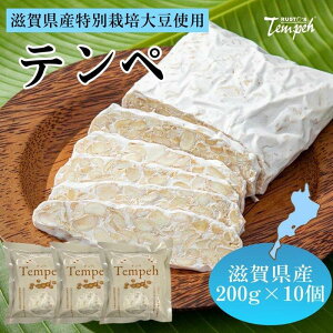 yӂ邳Ɣ[ŁzXgey(ꌧYʍ͔|哤gp)10Zbg