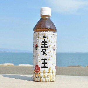 yӂ邳Ɣ[Łz ÎsY Z唞 100 gp@{iu  v500ml × 24{ b   퉷ۊ  ۑ h ꌧ Îs