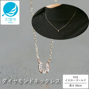 yӂ邳Ɣ[ŁzK^̔n(΂Ă)fUCIIK10CG[S[h_ChlbNX AWt 40cm yWr[Ly[{z K10-01-11 /  S[h _C WG[ A