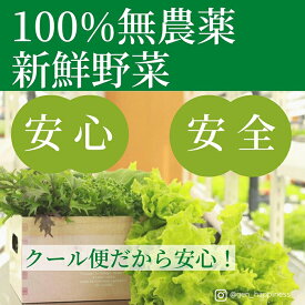 【ふるさと納税】☆滋賀県大津市から直送！☆新鮮無農薬野菜詰め合わせ | お野菜 旬 採れたて 無農薬 減農薬 新鮮 直送 おまかせ 詰め合わせ 美味しい はぴねすファーム 滋賀 大津