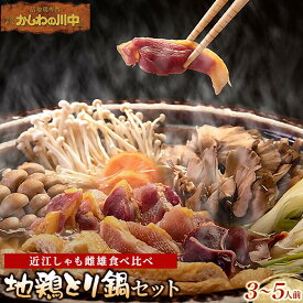 【ふるさと納税】【かしわの川中】超新鮮＆美味！地鶏とり鍋セット　近江しゃも雌雄食べ比べ　／ 国産（滋賀県） 鶏肉 肉 炭火焼 とり モモ 焼き鳥 すき焼き 鍋