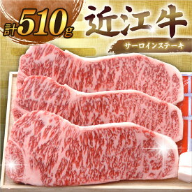 【ふるさと納税】 近江牛 千成亭 サーロインステーキ 計510g(170g×3枚) ソース付き サーロイン ステーキ ステーキ肉 肉 牛肉 国産 和牛 冷凍 近江牛ステーキ 黒毛和牛 ブランド牛 日本三大和牛 国産牛 BBQ 焼き肉 焼肉 鉄板焼 鉄板焼き 希少 おすすめ 人気 彦根 滋賀