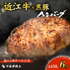 【ふるさと納税】 千成亭 近江牛と黒豚のハンバーグ (150g×6個・8個) ハンバーグ 黒毛和牛 近江牛 近江牛ハンバーグ ソース付き 個包装 小分け 和牛ハンバーグ 牛肉 国産 冷凍 ブランド牛 日本三大和牛 国産牛 クリスマス お歳暮 彦根 滋賀