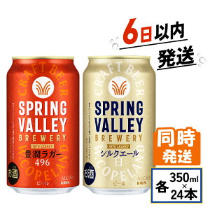 yӂ邳Ɣ[Łz Ntgr[ ݔ׃Zbg L 496 VNG[ 350ml × 24{ v2P[X XvOo[ 350 24 Lr[ L KIRIN P[X  r[   AR[ BBQ o[