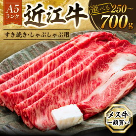 【ふるさと納税】 近江牛 A5 特上ロース すき焼き 選べる 容量 250g 500g 700g A5ランク メス牛 特上 近江牛ロース ロース 牛肉 肉 お肉 和牛 黒毛和牛 国産牛 日本三大和牛 雌牛 ブランド牛 すきやき しゃぶしゃぶ お歳暮 おすすめ 滋賀 彦根