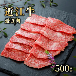 yӂ邳Ɣ[Łz ߍ] A5 ē 500g ߍ]ē Ă ēp    a јa Y Y {Oa  X uh Jr oJr ԐgJr Ε 