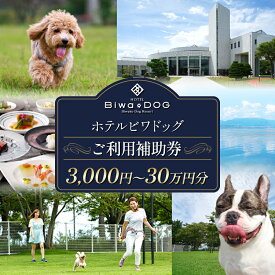 【ふるさと納税】 ホテル ビワドッグ ご利用補助券 3000円~30万円分 利用券 レストラン 観光 ドッグラン 犬 愛犬 ペット 宿泊券 ペットと泊まれる 宿 ホテル 旅行 ランチ ディナー 商品券 愛犬同伴 旅行 リゾート レイクビュー 自然 琵琶湖 滋賀 彦根