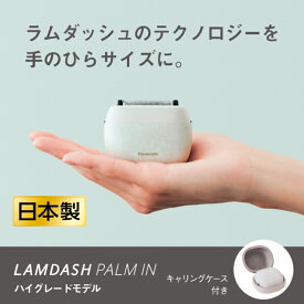 【ふるさと納税】 シェーバー パナソニック ラムダッシュ パームイン 5枚刃 ES-P550U ハイグレードモデル | 電気シェーバー ひげそり ひげ剃り 髭剃り ヒゲ剃り 家電 おすすめ 肌ケア スキンケア プレゼント ギフト 贈り物 父の日 男性 充電式 滋賀 彦根 Panasonic LAMDASH