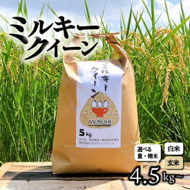 【ふるさと納税】 【令和7年産先行受付】 ミルキークイーン 4.5kg 5kg 9kg 10kg 玄米 白米 令和7年産 新米 米 こめ コメ お米 ご飯 ミルキークイーン ミルキークィーン 先行受付 令和7年 R7 滋賀 彦根