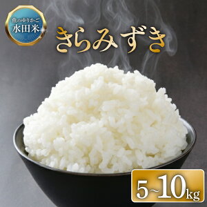 �y�ӂ邳�Ɣ[�Łz �ߘa7�N�Y ���������_�Y���F�؁I �V�� ����݂��� �I�ׂ�e�� 5kg 10kg ���� �� �R�� ���� �V�� ���� ���͂� 5kg 10kg 5 10 �ߘa7�N 7�N �������� ���� �F��