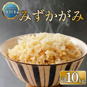 �y�ӂ邳�Ɣ[�Łz �ߘa7�N�Y ���������͔| �V�� �݂������� ���� 10kg ���ꌧ�F�� ���̂�肩�����c�� 10 �ߘa7�N 7�N 10�� �������� ���� �F��