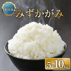 �y�ӂ邳�Ɣ[�Łz �ߘa7�N�Y �V�� ���������͔| �݂������� �I�ׂ�e�� 5kg10kg ���� �� �R�� ���� ���� ���͂� 10kg 10 5kg �ߘa7�N 7�N �������� ���� �F��