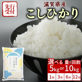 【ふるさと納税】 【令和7年産先行受付】 こしひかり 5kg 10kg 単品 定期便 令和7年産 新米 米 精米 こめ コメ お米 ご飯 米 コシヒカリ 先行受付 令和7年 3回定期便 6回定期便 12回定期便 3ヶ月定期便 6ヶ月定期便 12ヶ月定期便 ふるさと納税米 ふるさと納税新米 滋賀 彦根