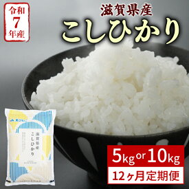 【ふるさと納税】 こしひかり 12ヶ月定期便 5kg 10kg 令和7年産 米 精米 こめ コメ お米 コシヒカリ ご飯 5キロ 10キロ 令和7年 12回定期便 定期便 ふるさと納税米 ふるさと納税米定期便 滋賀 彦根