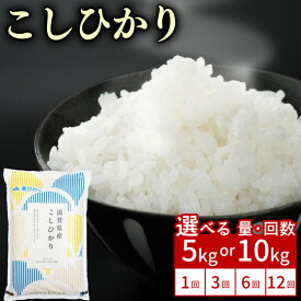 【ふるさと納税】 こしひかり 5kg / 10kg 単品 / 定期便 令和7年産 米 精米 こめ コメ お米 コシヒカリ ご飯 5キロ 10キロ 令和7年 3ヶ月定期便 6か月定期便 12ヶ月定期便 ふるさと納税米 ふるさと納税米定期便 滋賀 彦根