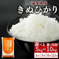 楽天市場】新米 令和6年（品種（米）キヌヒカリ）（食品）の通販