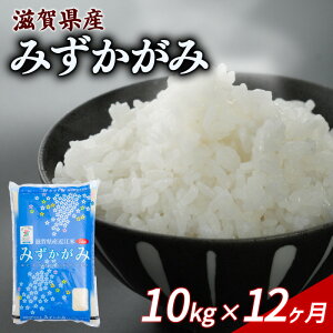 yӂ邳Ɣ[Łz yߘa7NYstz V ݂ 5kg 10kg Pi  ߘa7NY    R   st 5L 10L ߘa7N 3 6 12 3