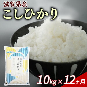 yӂ邳Ɣ[Łz yߘa7NYstz Ђ 5kg 10kg Pi  ߘa7NY V    R    RVqJ st ߘa7N 3 6 12 3