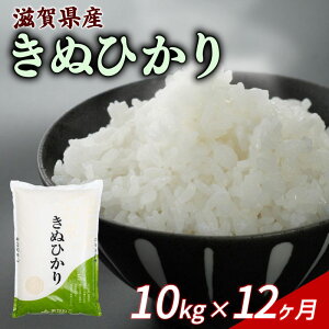 yӂ邳Ɣ[Łz yߘa7NYstz V ʂЂ 5kg 10kg Pi  ߘa7NY    R   st 5L 10L ߘa7N 3 6 12 3