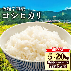 yӂ邳Ɣ[Łz s\ ߘa7N V Ђ Iׂe   5kg 10kg 15kg 20kg Pi  3 6 3 6  R    RVqJ ߘa7NY ӂ邳Ɣ[ŕ ӂ