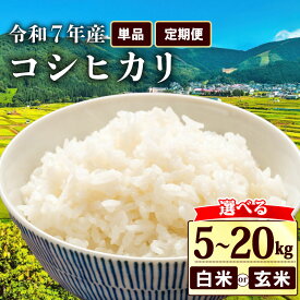 【ふるさと納税】 先行予約 令和7年 新米 こしひかり 選べる容量 白米 玄米 5kg 10kg 15kg 20kg 単品 定期便 3ヶ月 6ヶ月 3回 6回 米 コメ お米 白米 ご飯 コシヒカリ 令和7年産 ふるさと納税米 ふるさと納税新米 10月 順次発送 滋賀 彦根