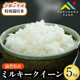 【ふるさと納税】 特別栽培米 ミルキークイーン 4kg / 5kg 令和7年産 米 精米 こめ コメ お米 ご飯 米 ミルキー クイーン 4キロ 5キロ 令和7年 みるきーくいーん 滋賀 彦根
