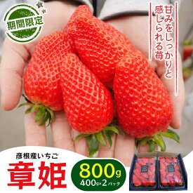 【ふるさと納税】 いちご 章姫 800g あきひめ 苺 イチゴ 果物 くだもの フルーツ 食品 ストロベリー ジャム スムージー 期間限定 贈答 ギフト 400g × 2 パック 福花農園 彦根 滋賀