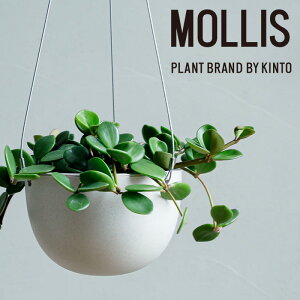 yӂ邳Ɣ[Łz y ϗtA zMOLLIS yy~A z[v A nMO O[ CeA KINTO