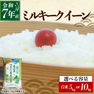 yӂ邳Ɣ[Łz ߘa7NY ~L[NC[  Iׂ e 5kg×1 10kg×1  R  V 5L 10L 5kg 10kg  ͂ ݂邫[[ ɂ ٓ 5kg 10kg 5 10  F