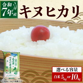 【ふるさと納税】 令和7年産 キヌヒカリ 白米 選べる 容量 5kg×1袋 10kg×1袋 米 コメ お米 5キロ 10キロ 米5kg 米10kg ご飯 ごはん きぬひかり おにぎり お弁当 5kg 10kg 5 10 滋賀 彦根