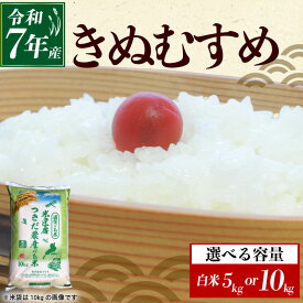 【ふるさと納税】 令和7年産 きぬむすめ 白米 選べる 容量 5kg×1袋 10kg×1袋 米 コメ お米 5キロ 10キロ 米5kg 米10kg ご飯 ごはん キヌムスメ おにぎり お弁当 5kg 10kg 5 10 滋賀 彦根