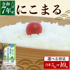 【ふるさと納税】 令和7年産 にこまる 白米 選べる 容量 5kg×1袋 10kg×1袋 米 コメ お米 5キロ 10キロ 米5kg 米10kg ご飯 ごはん ニコマル おにぎり お弁当 5kg 10kg 5 10 滋賀 彦根