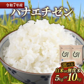 【ふるさと納税】 令和7年 彦根産 ハナエチゼン 選べる 容量 精米方法 5kg 10kg 白米 無洗米 近江米 お米 精米 米 こめ コメ おこめ ご飯 ごはん はなえちぜん おすすめ 送料無料 滋賀 彦根 ひこね